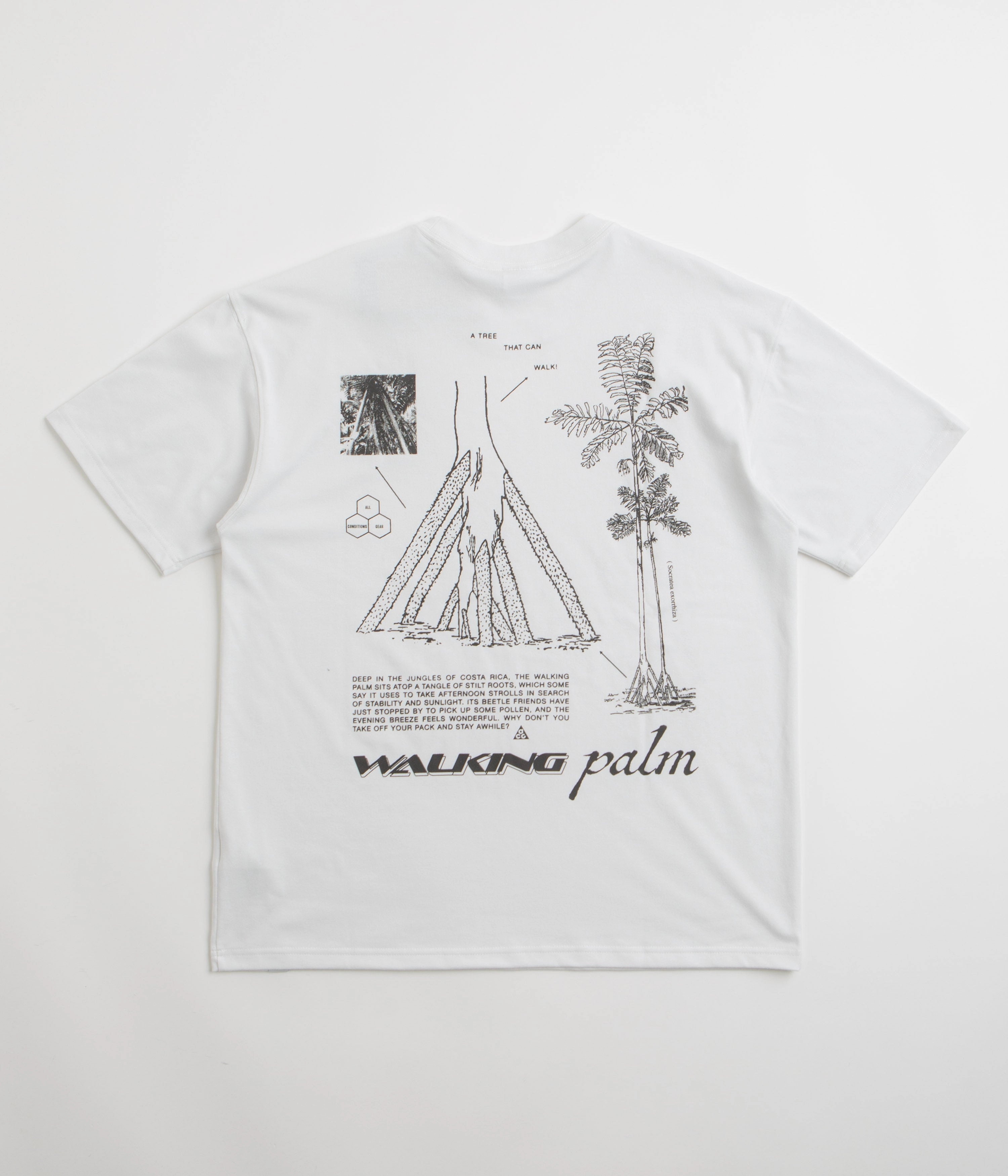 Simple Comfort Wear Nike ACG Walk Tree T-Shirt - Summit White