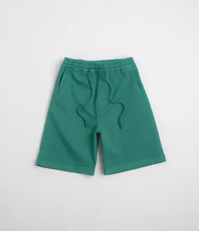 Carhartt Floyd Shorts - Saguaro Sweat Wicking Technology Daily Wear