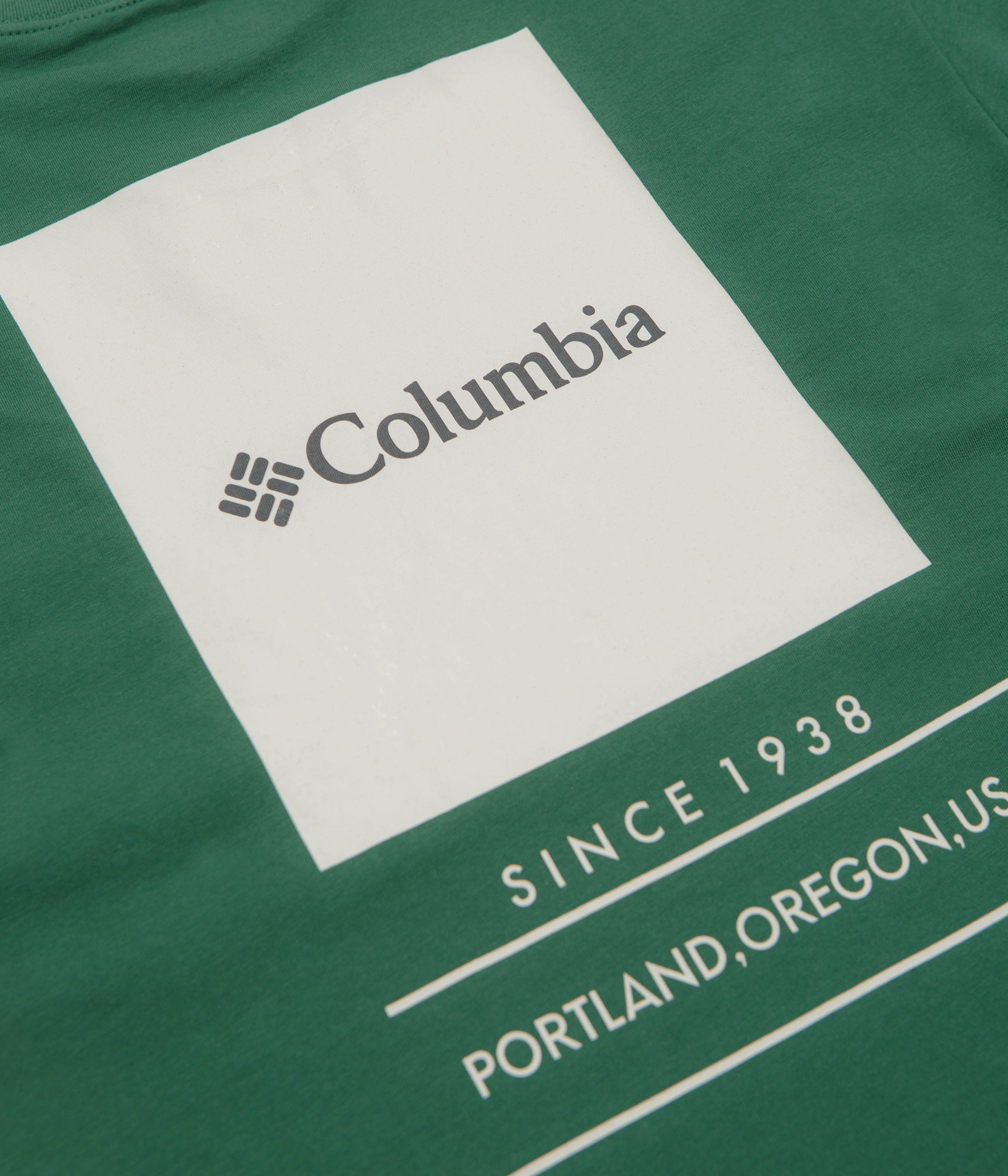 Stylish piece Columbia Barton Springs Graphic T-Shirt - Rain Forest / Dark Stone