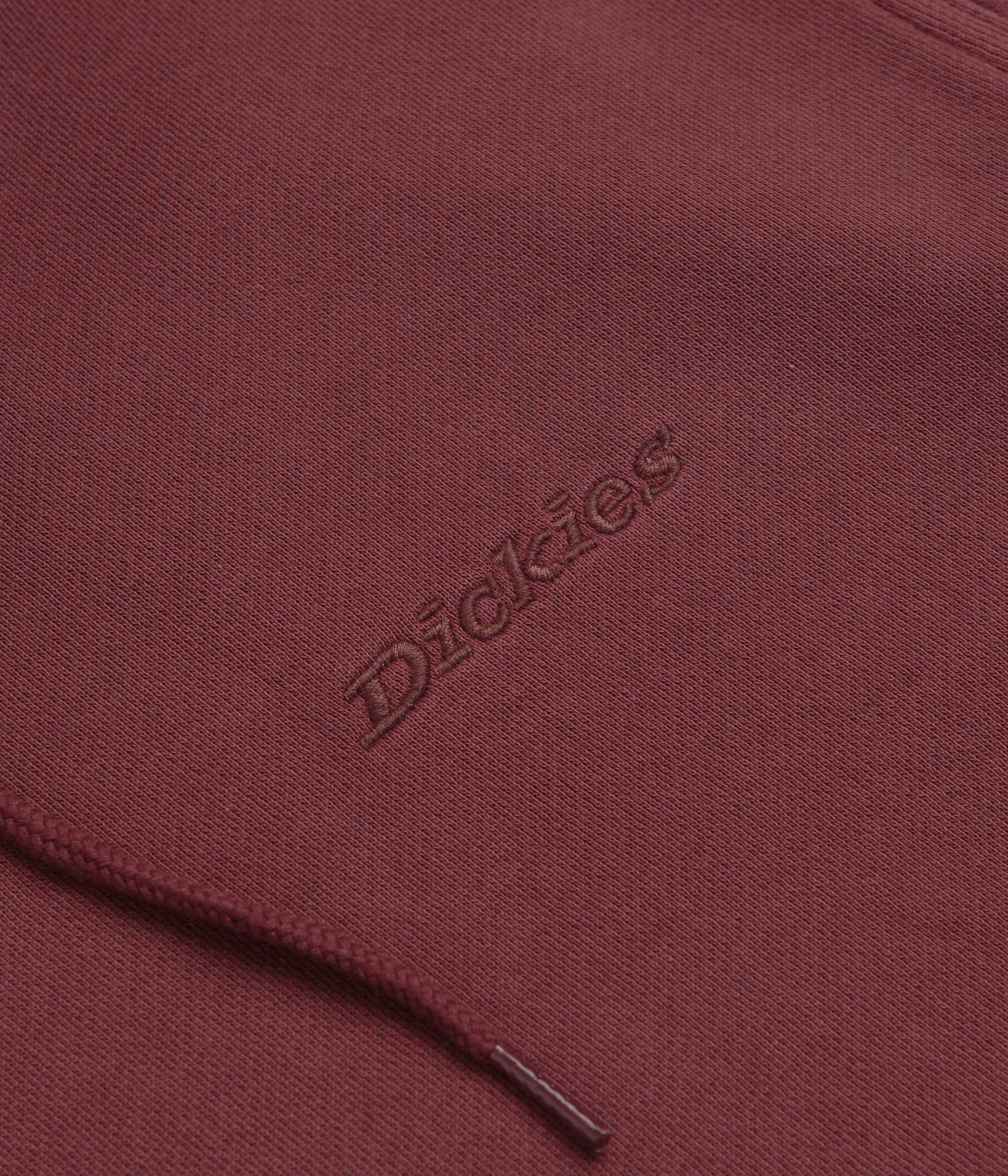 Elastic hem Dickies Plentywood Hoodie - Andorra