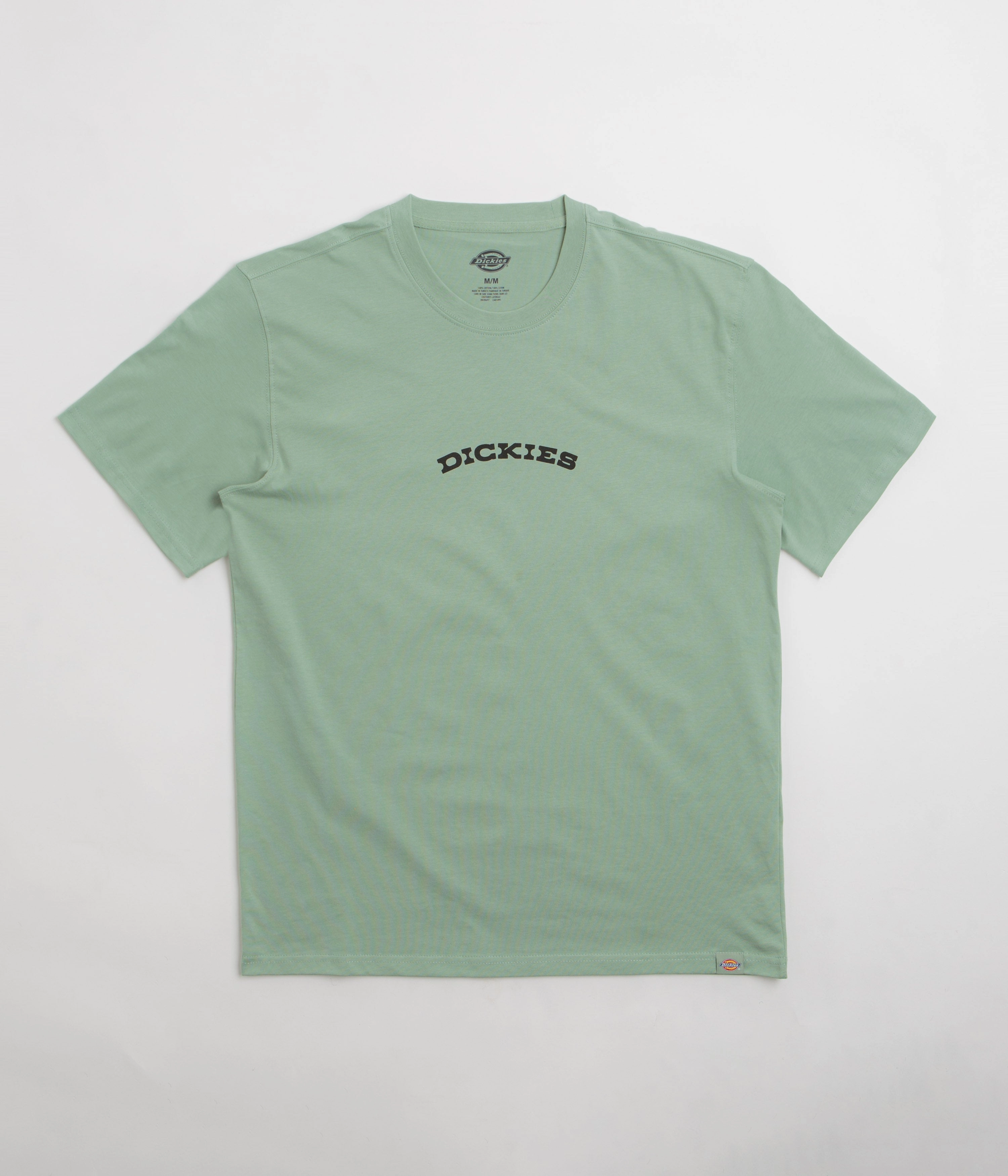 Dickies Dickies Outdoor T-Shirt - Iceberg Green Outdoor Outfit Style