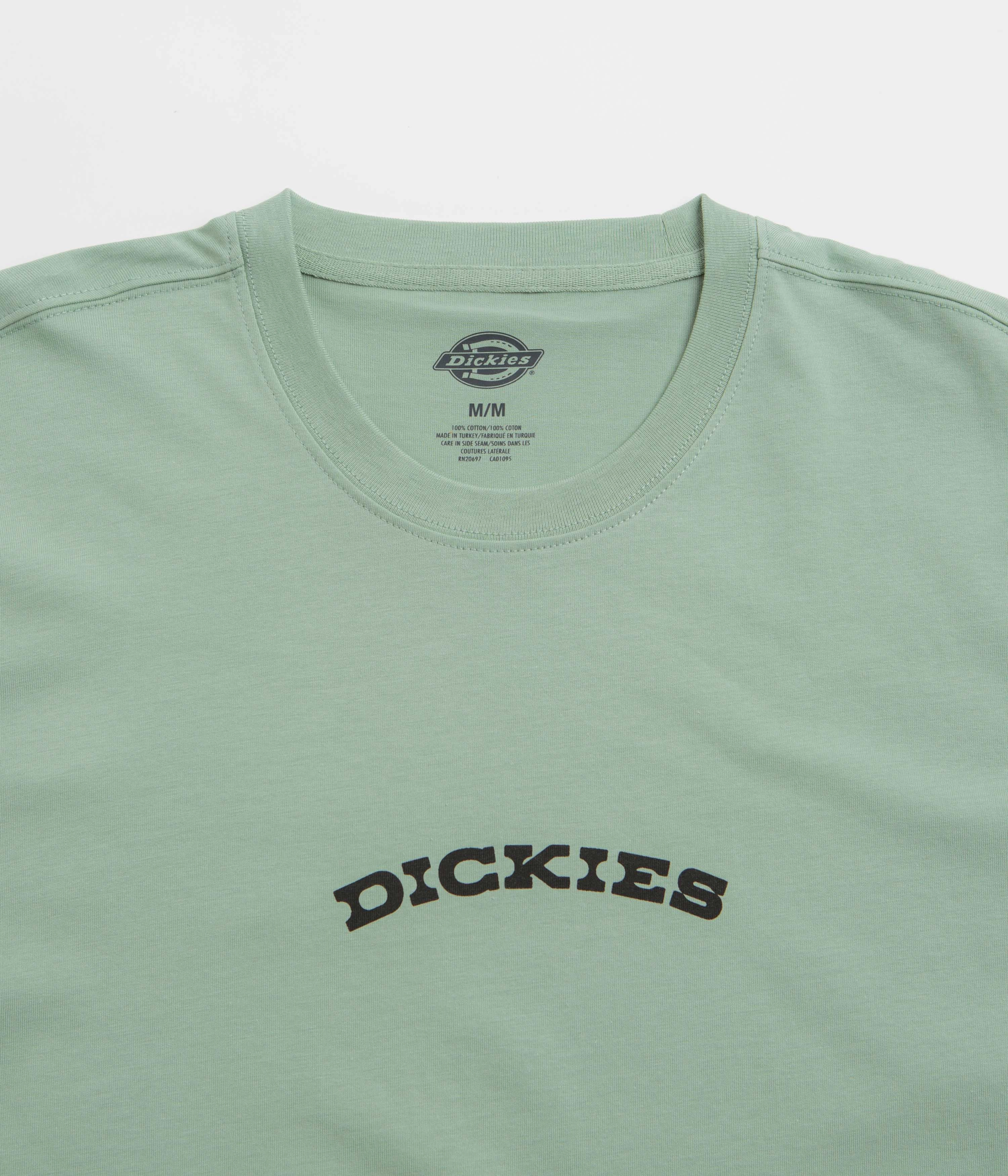 Dickies Dickies Outdoor T-Shirt - Iceberg Green Street Outfit