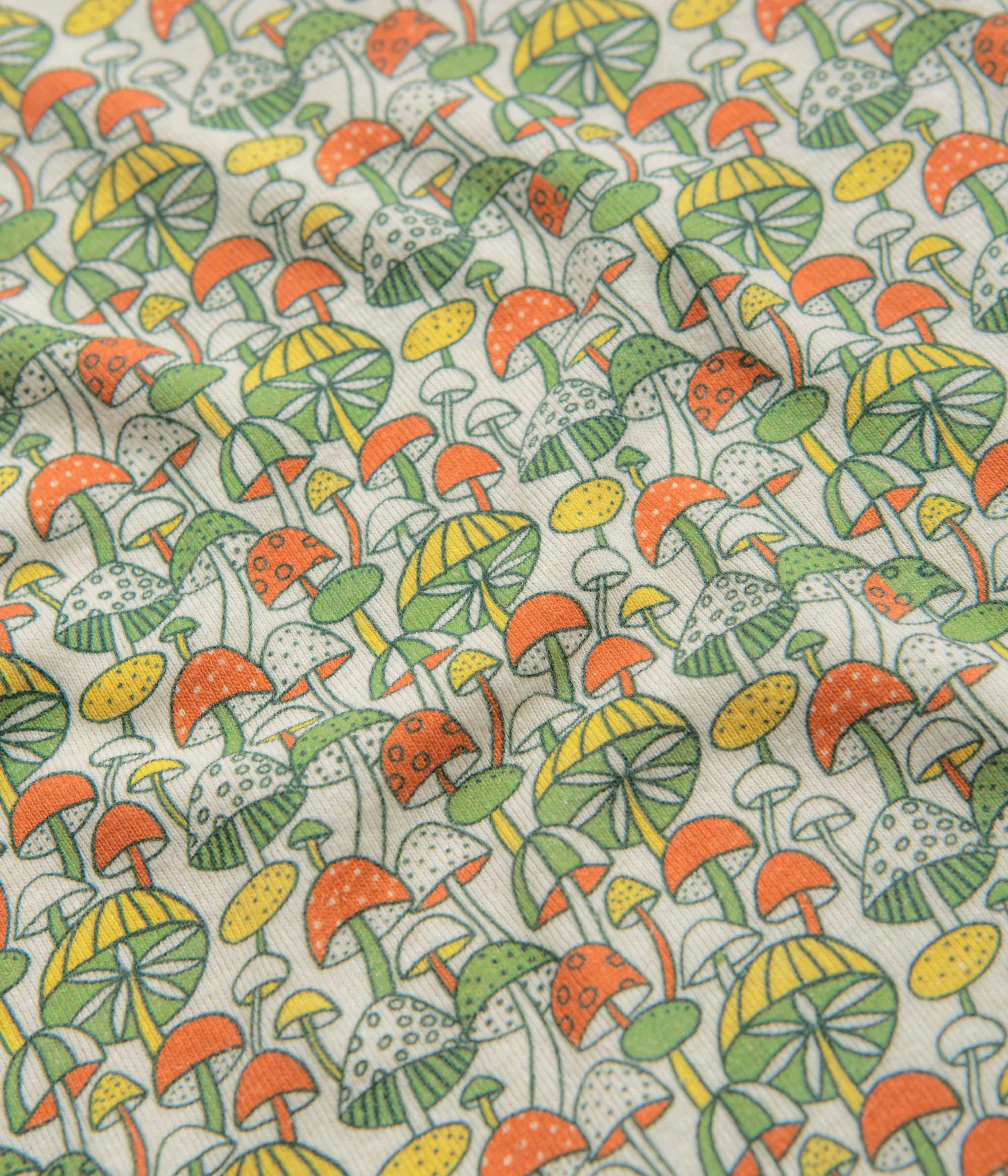 City Outfit Bright and Bold Mollusk Womens Scoop Ribsy T-Shirt - Green Mushroom