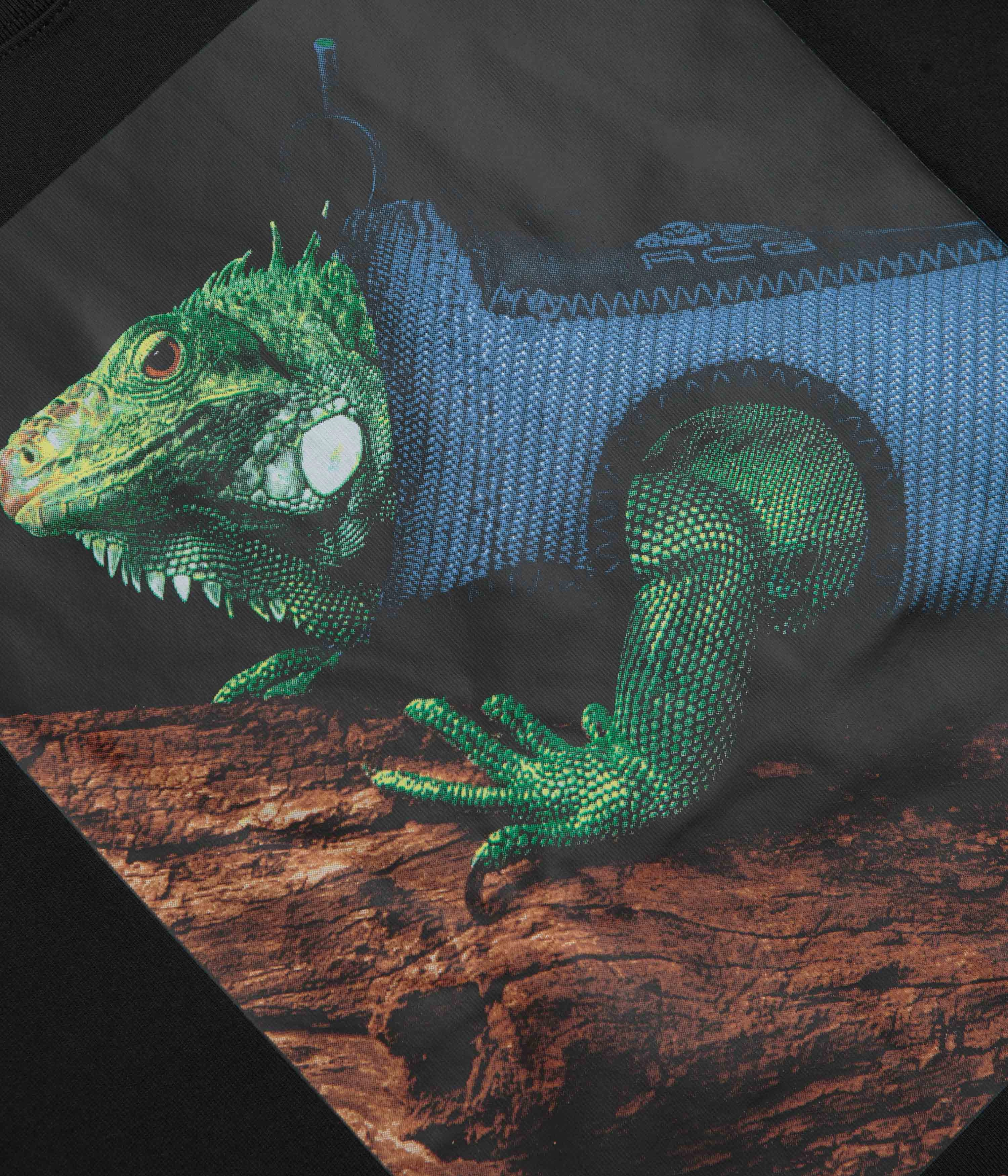 Colorfast Material Nike ACG Iguana Vest T-Shirt - Black