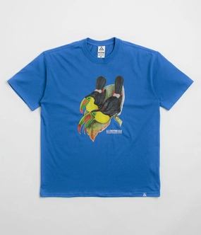 tall size Nike ACG Toucan T-Shirt - Game Royal