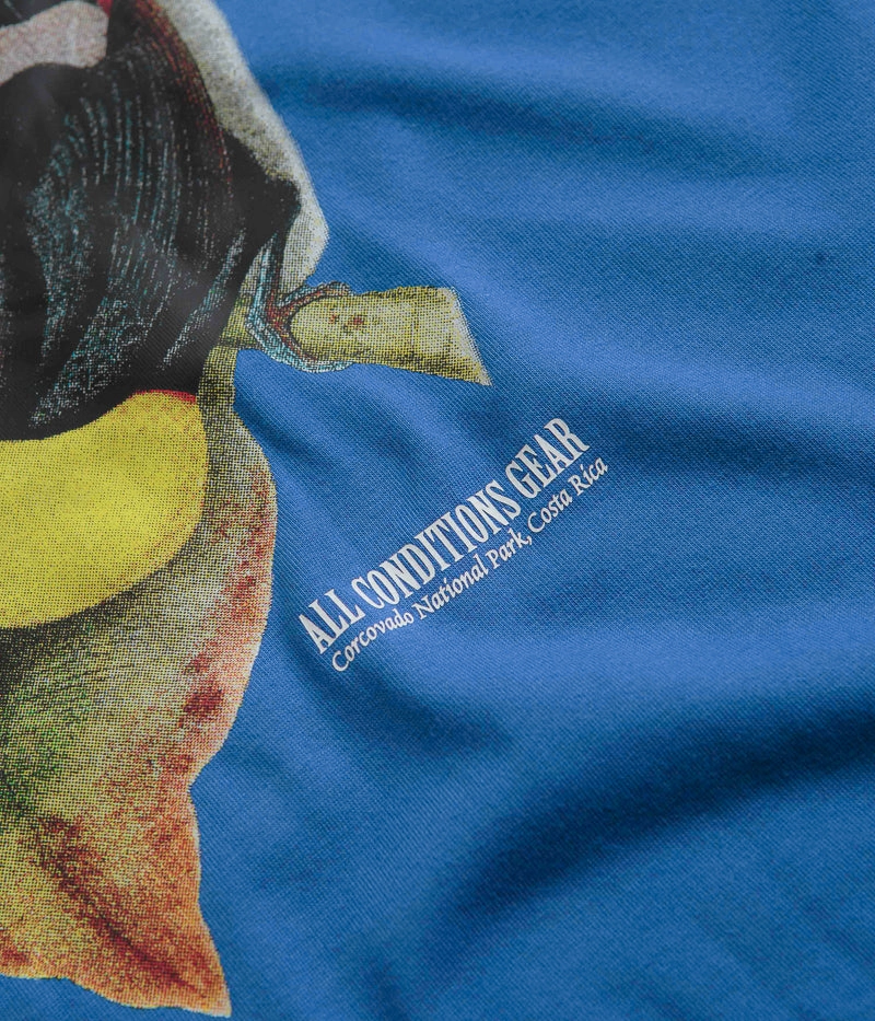 casual and comfortable Chic Comfort Nike ACG Toucan T-Shirt - Game Royal