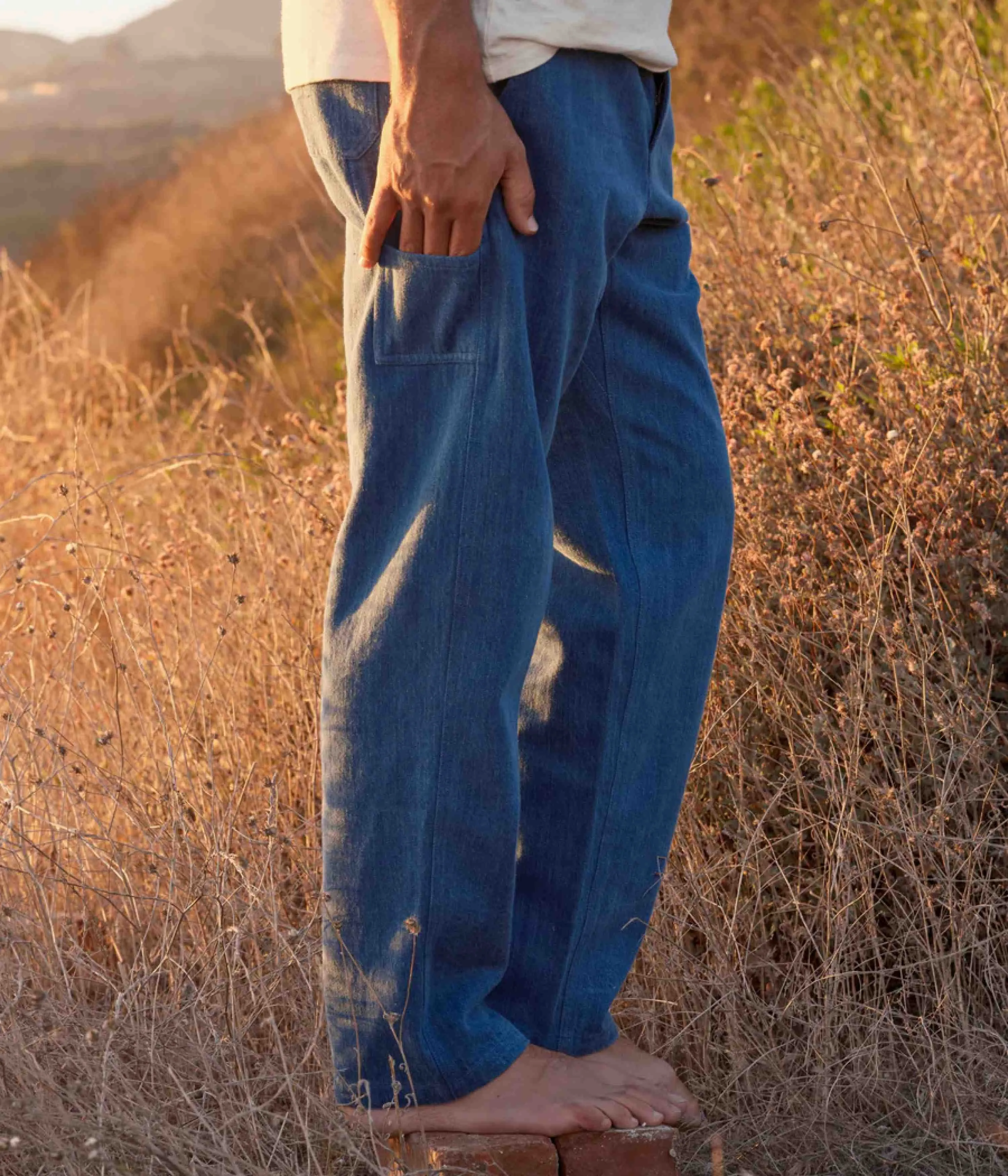 Mollusk Pinnacle Pants - Indigo Denim Street Casual