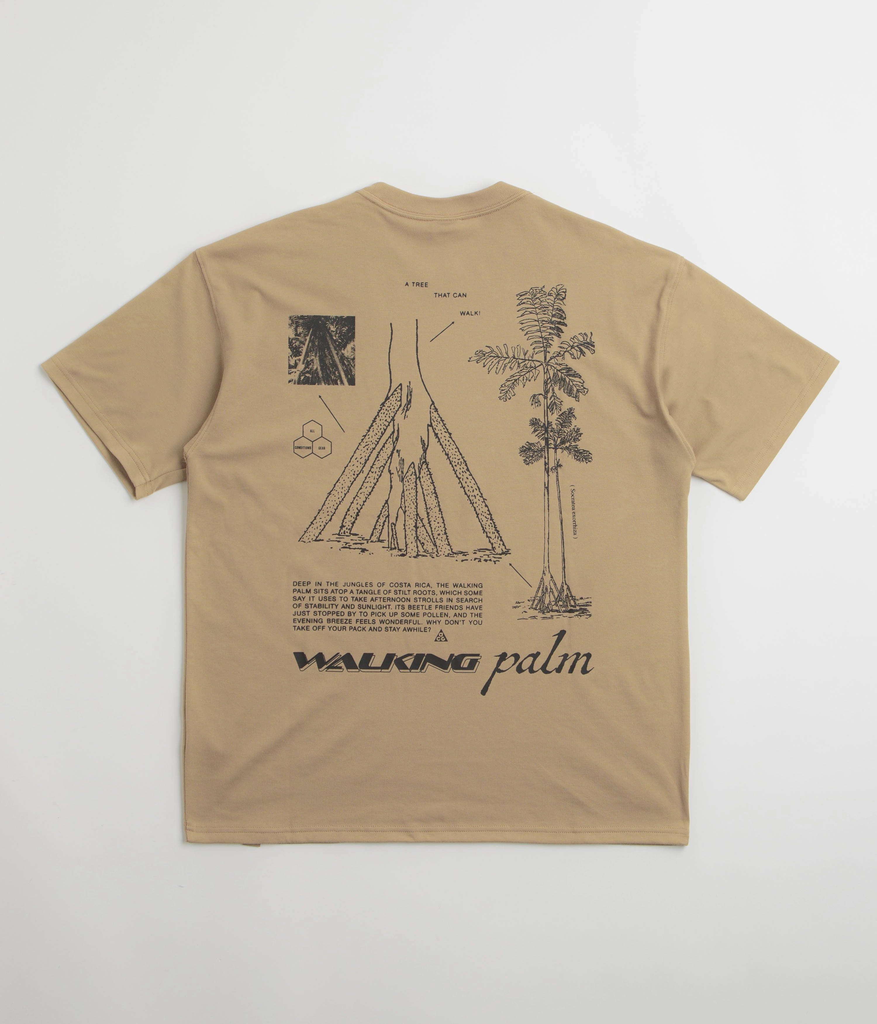 Nike ACG Walk Tree T-Shirt - Parachute Beige sequined details Easy to Style