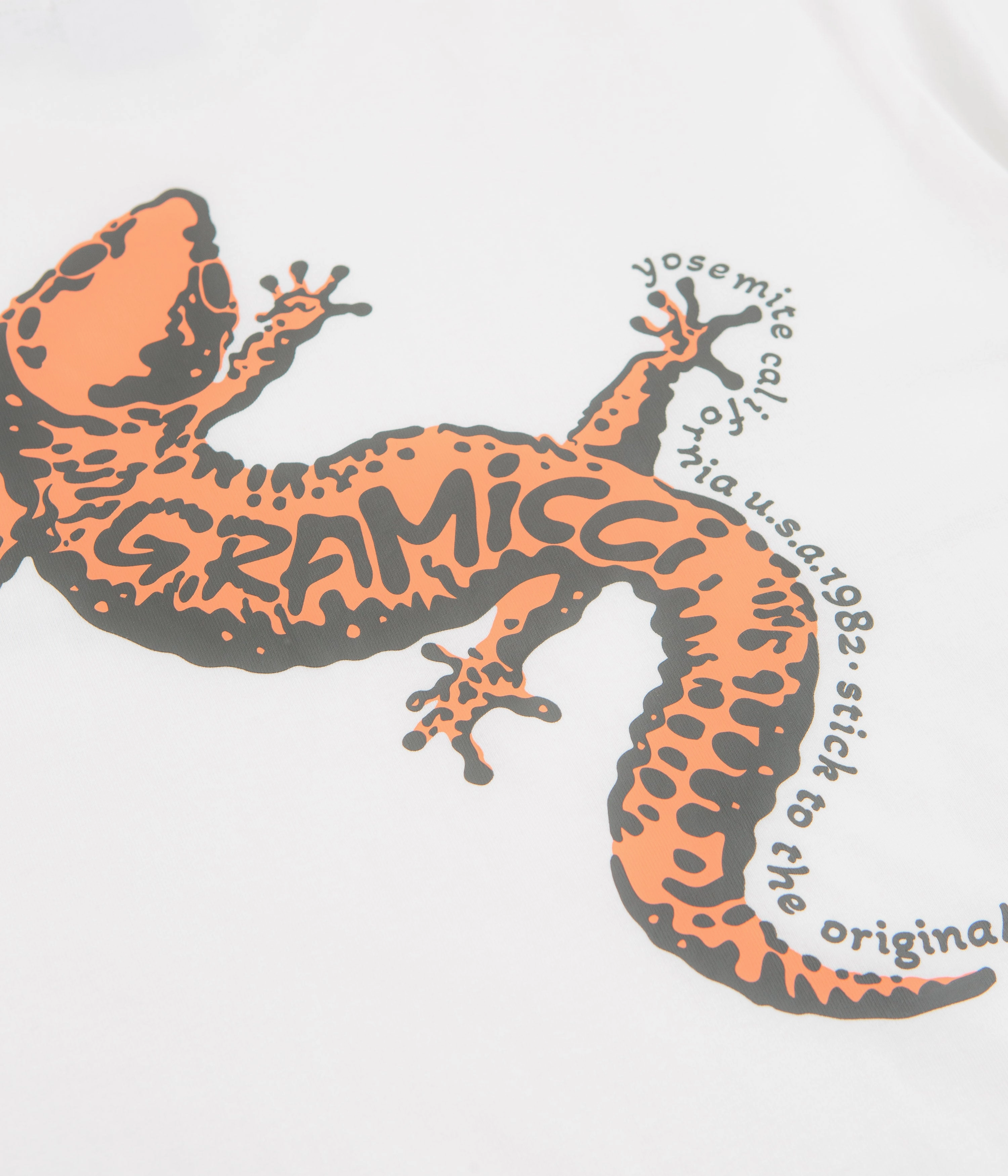 Loose Fit Gramicci Gecko T-Shirt - White