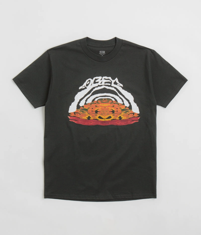 Versatile Layering Piece Obey Take The Leap T-Shirt - Vintage Black