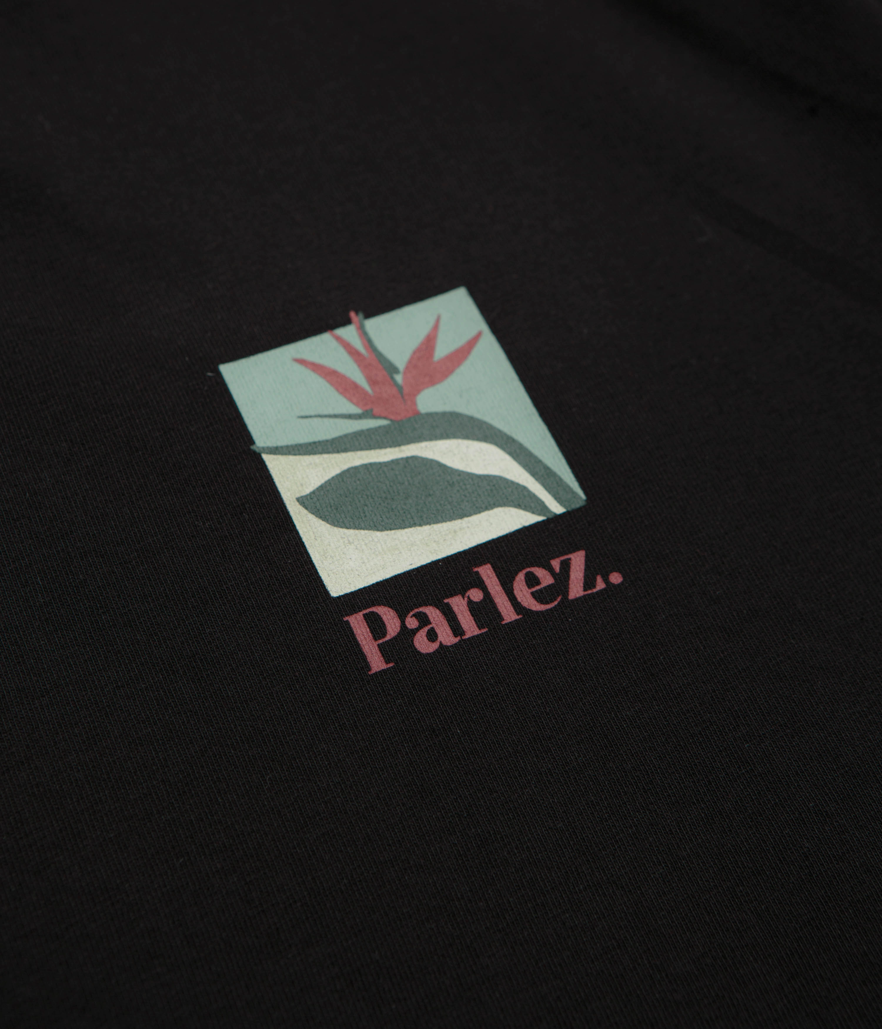 Parlez Flora T-Shirt - Black Fashionable Look slim fit