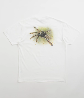 Sporty Appeal Casual Essential Wear Polar Green Spider T-Shirt - White