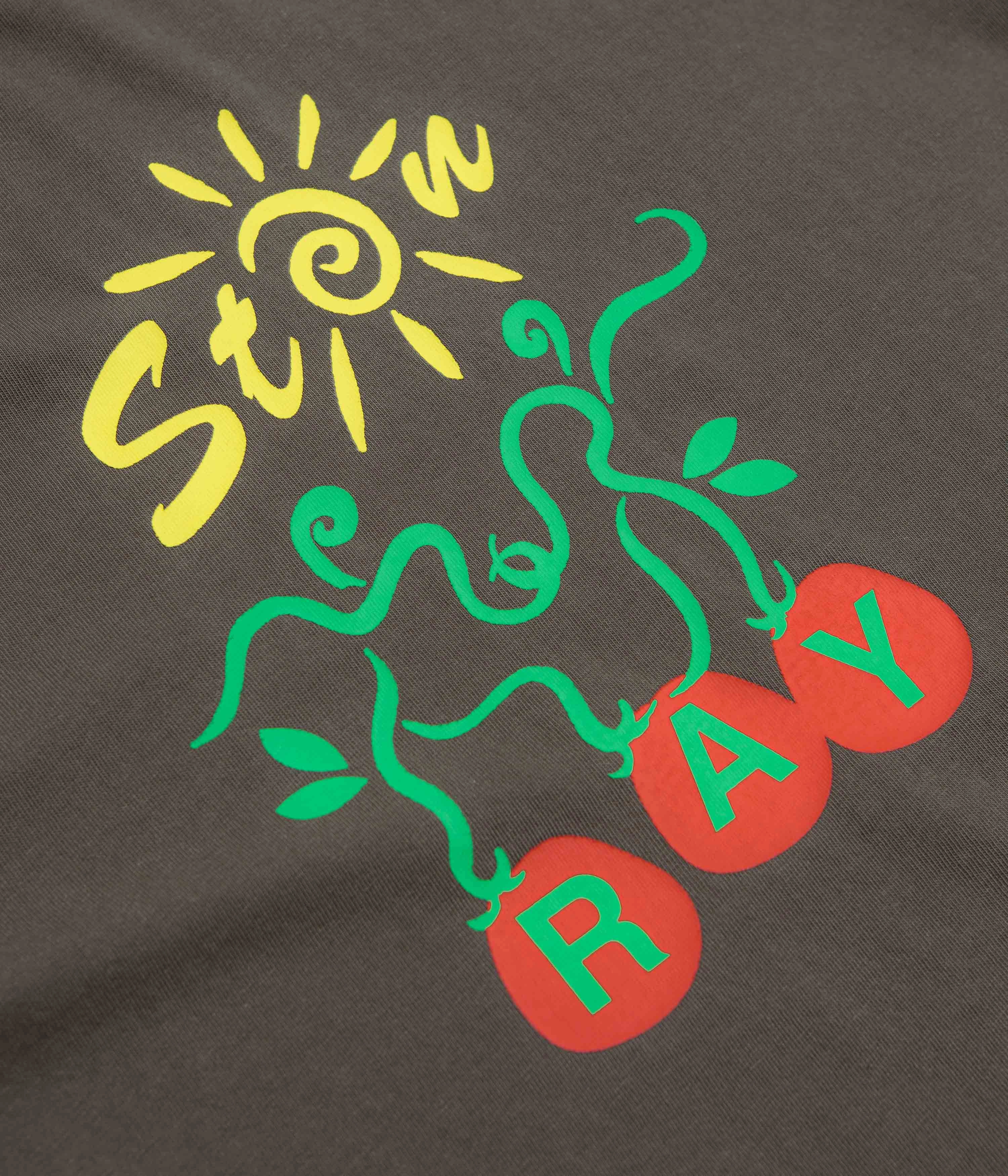 Stan Ray Ray Vine T-Shirt - Washed Black Chic Wearable